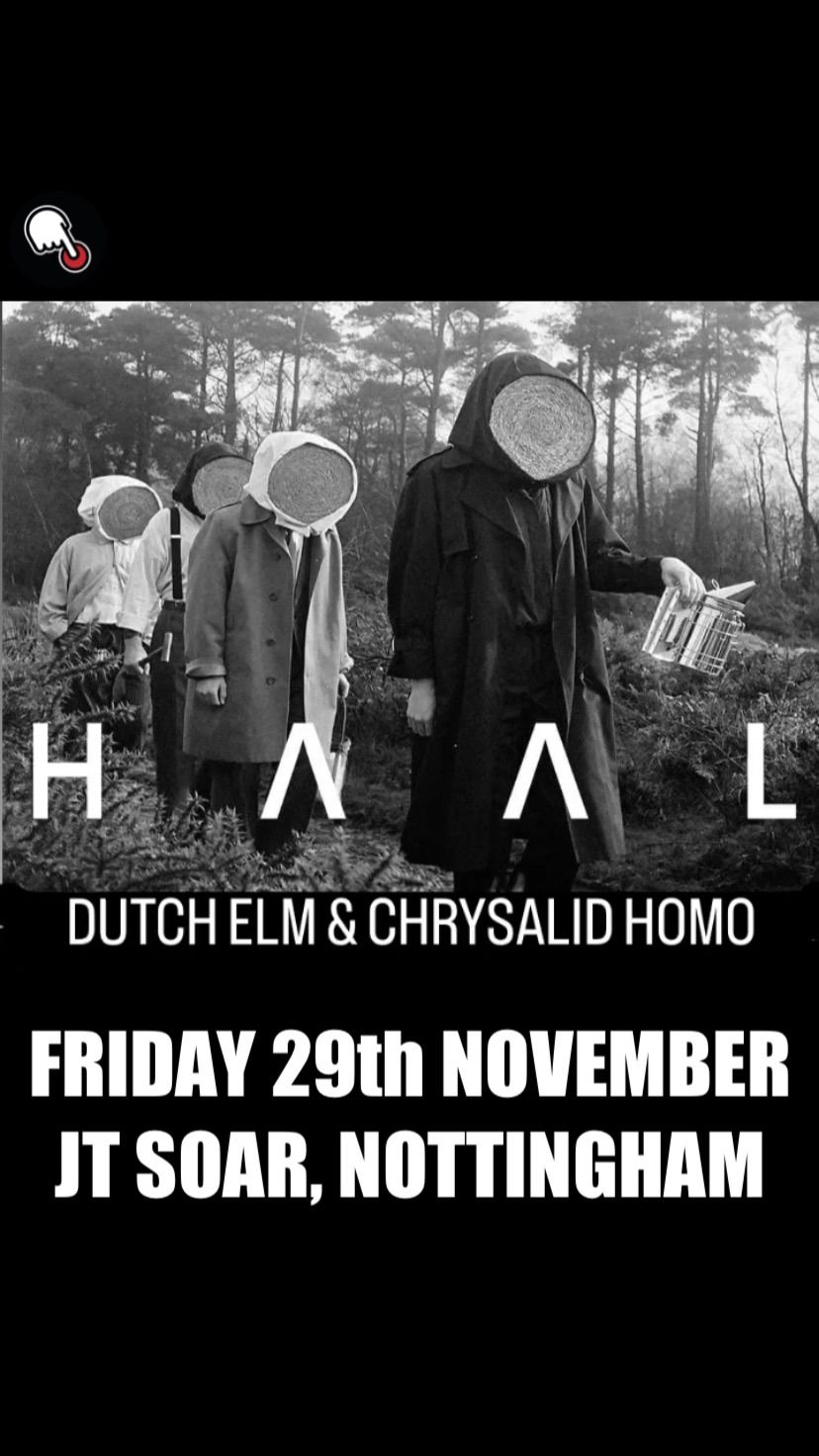 HAAL, Dutch Elm & Chrysalid Homo