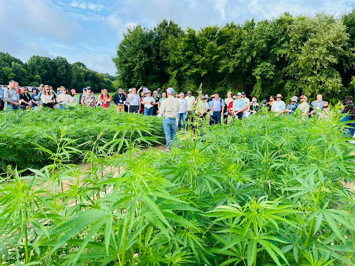 2025 NC State Hemp Grain and Fiber Field Day