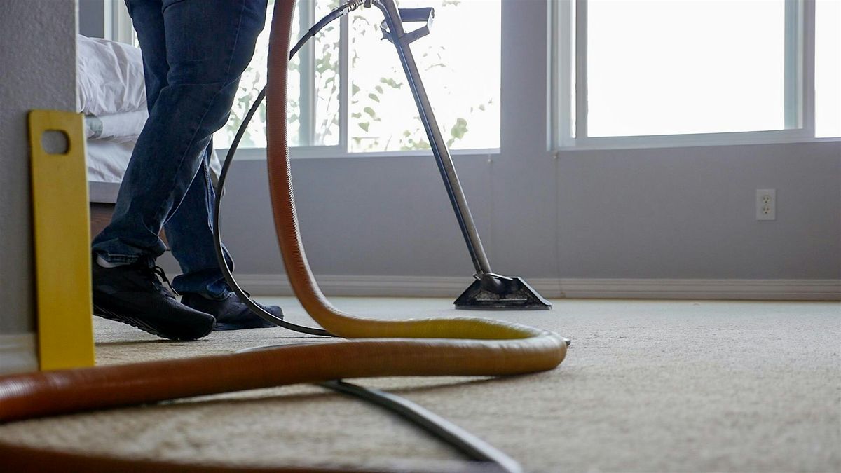 Hands-On Carpet Cleaning Training for Beginners