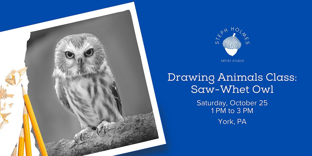 Drawing Animals Class: Saw-Whet Owl