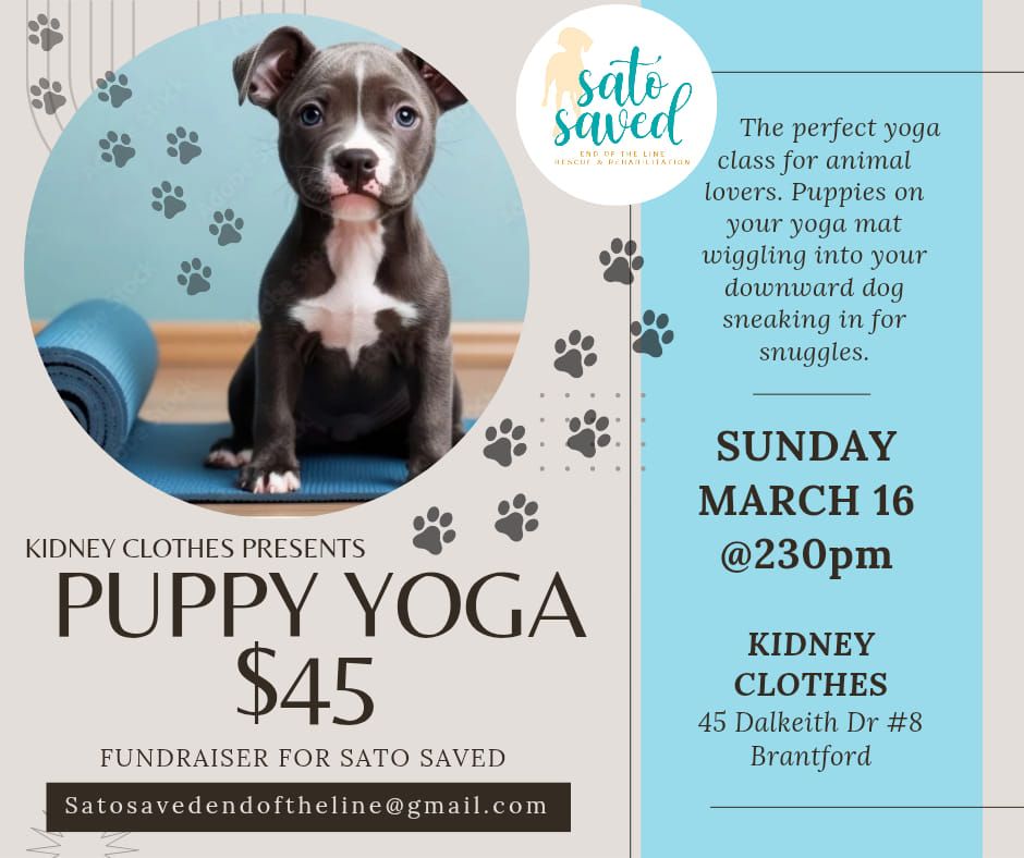 PUPPY YOGA FUNDRAISER PART 2!