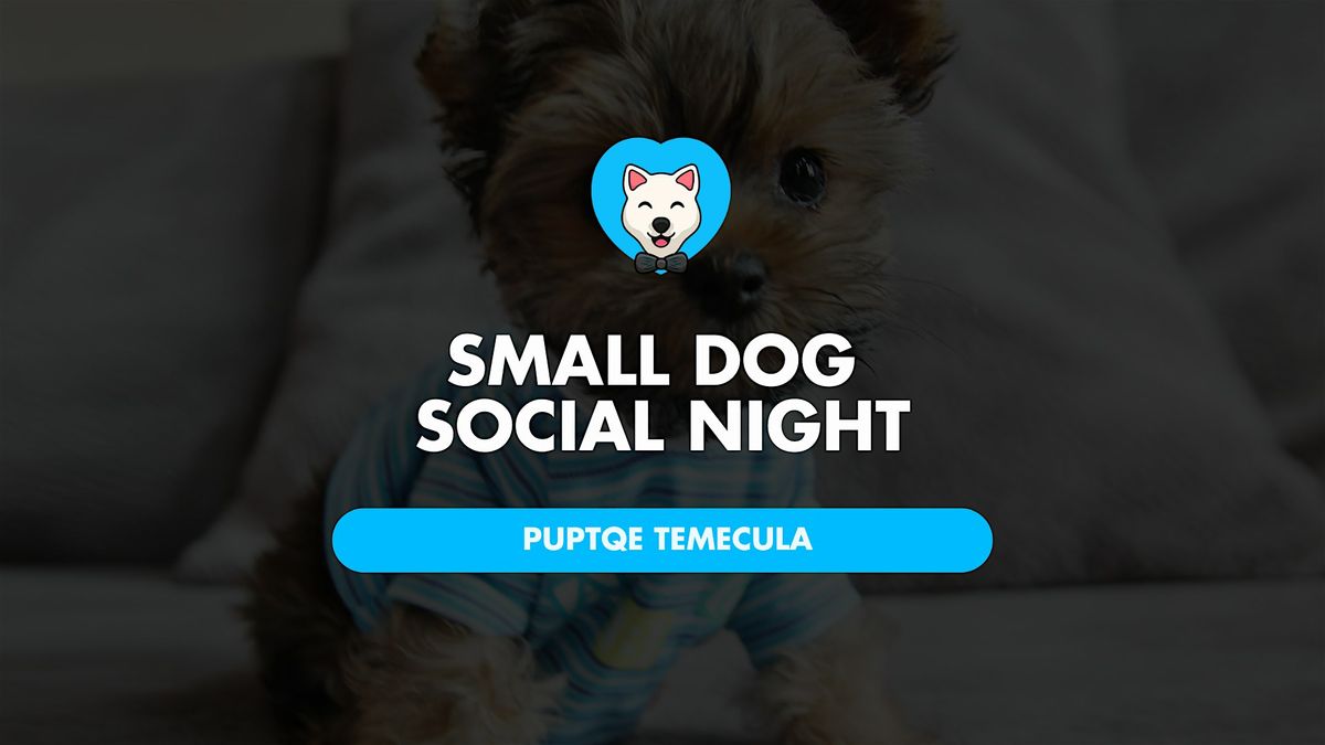 Small Dog Social Hour