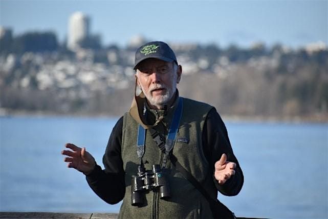 Blaine Harbor and Marine Park  Guided Birding Field Trip