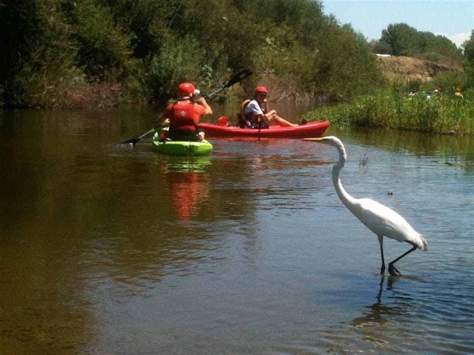 Sepulveda Basin_Los Angeles River Kayak Tours_2025 SAT. &  SUN.