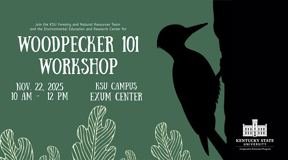Woodpecker 101 Workshop