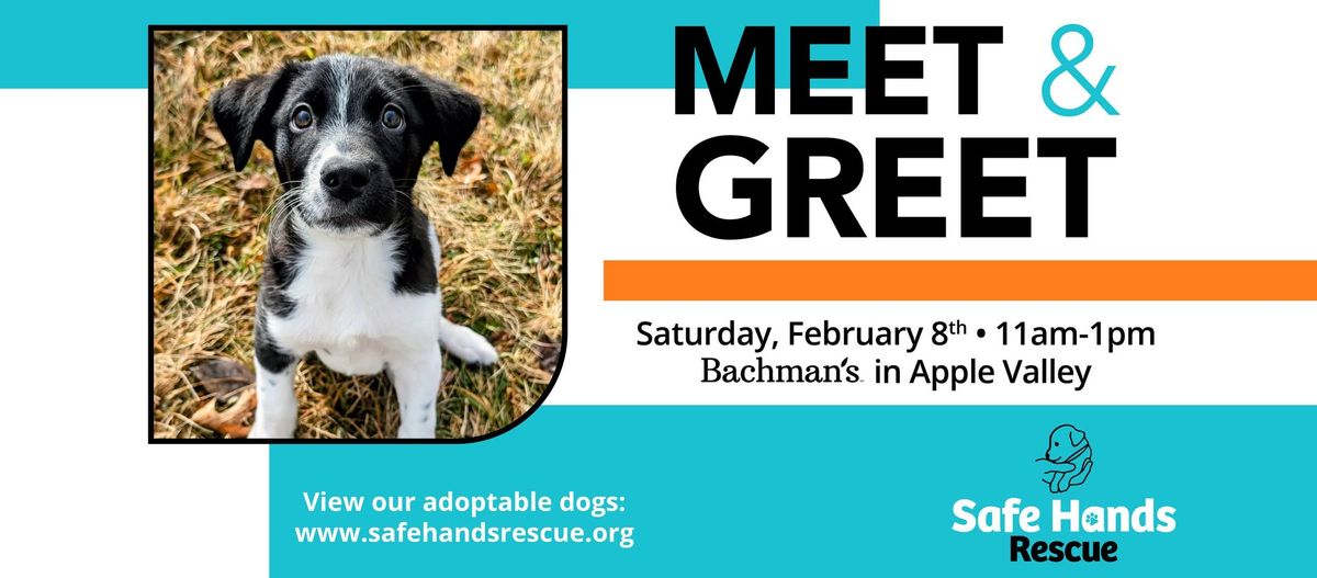 Safe Hands Rescue Meet & Greet at Bachman's (Apple Valley)