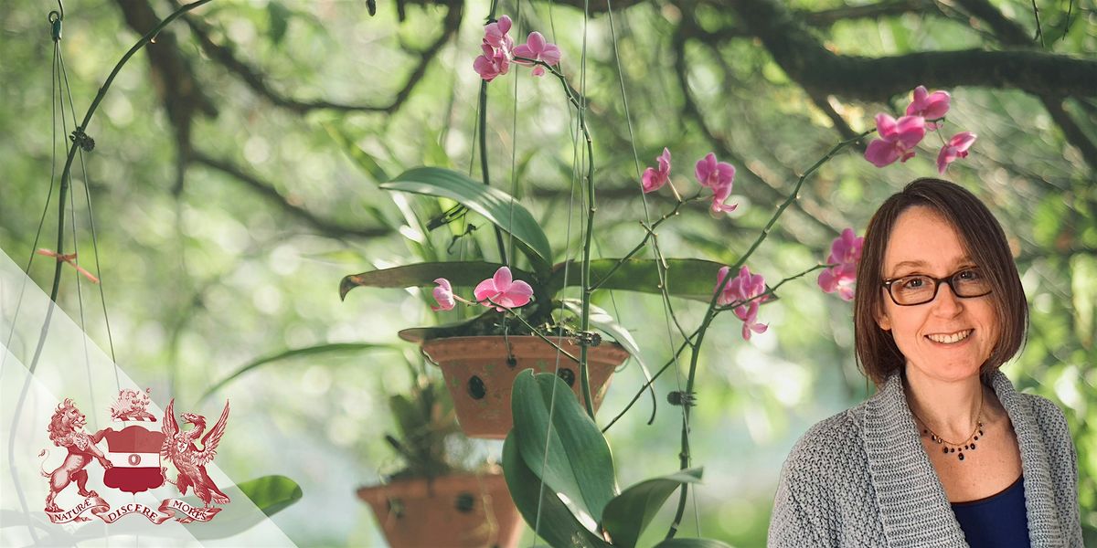 The Lost Orchid | Hunting An Icon in the Linnean Society Archives