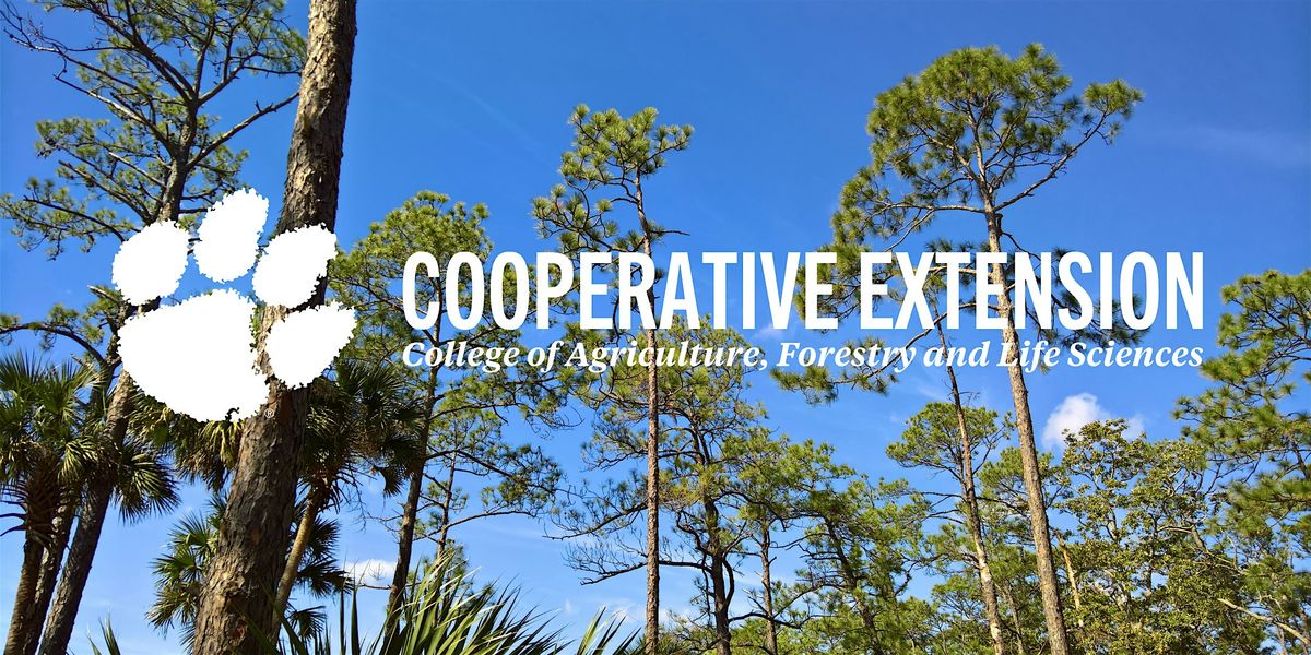 Coastal Forest Conservation & Resilience in SC