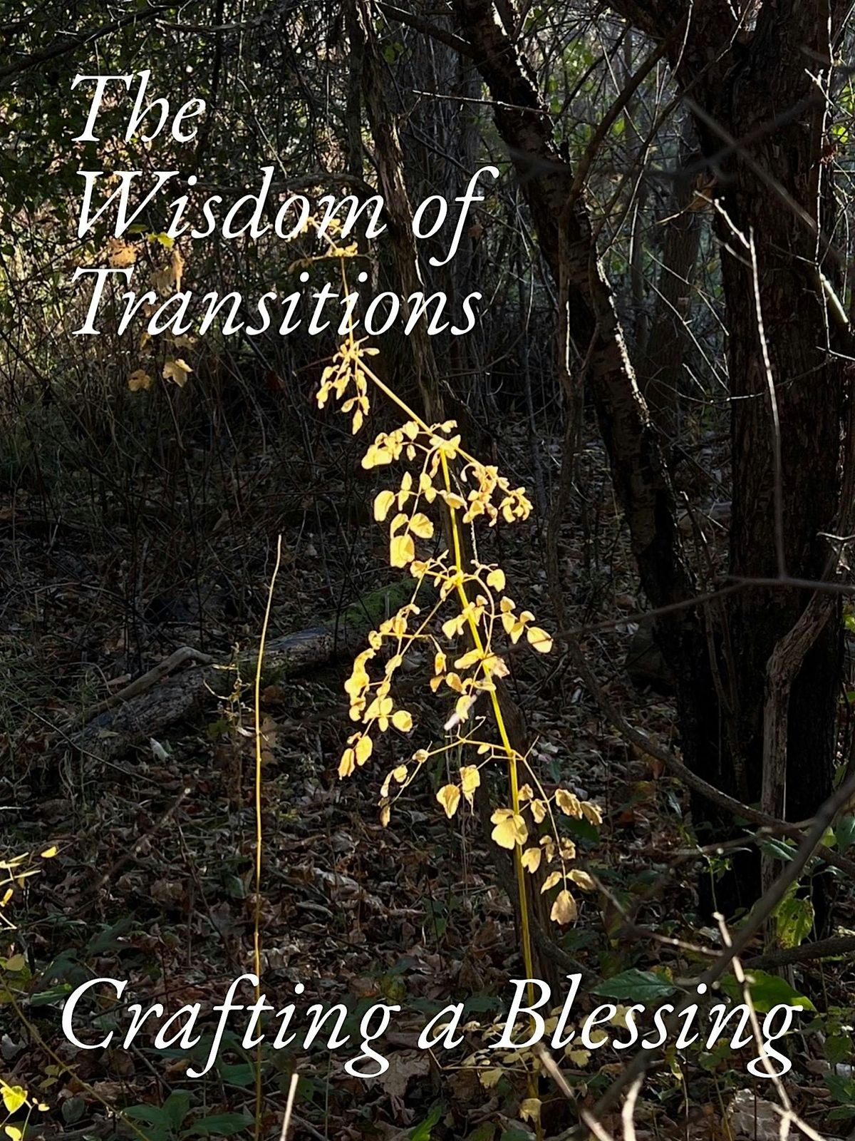 The Wisdom of Transitions: Crafting a Blessing