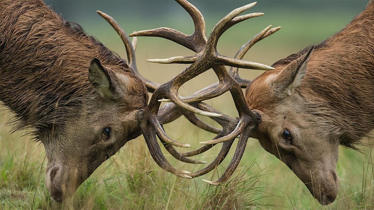 East Bay Calvary Sportsmen's Fellowship Dinner and Program