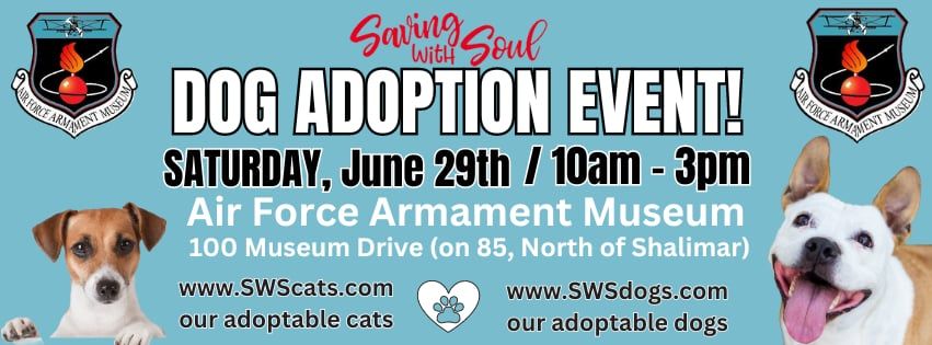 Dog Adoption Event at Airforce Armament Museum