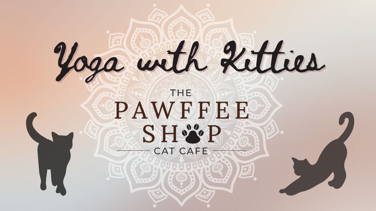 YOGA With Kitties!