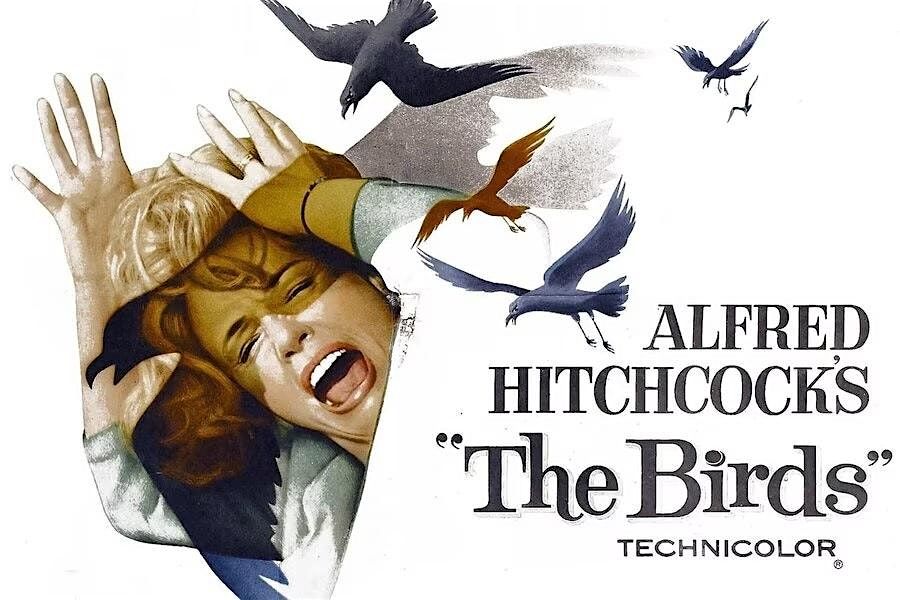 8\/23 - Hitchcock's Summer of Suspense Series: The Birds