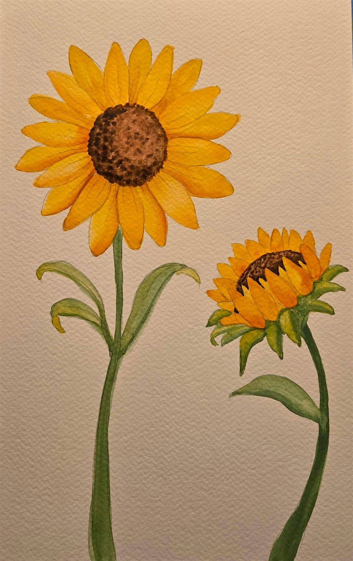 Sunflower Watercolor Painting Class