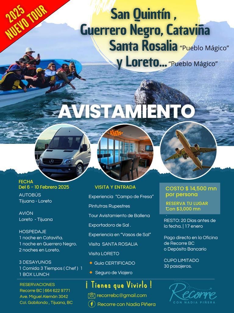 AVISTAMIENTO DE BALLENA 2025