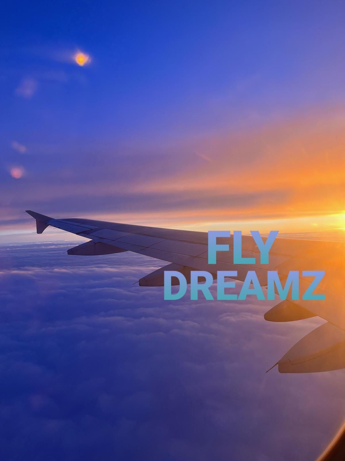 Fly Dreamz Travel