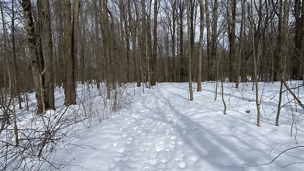 Foundation for Geauga Parks - December Explorers Series Outing