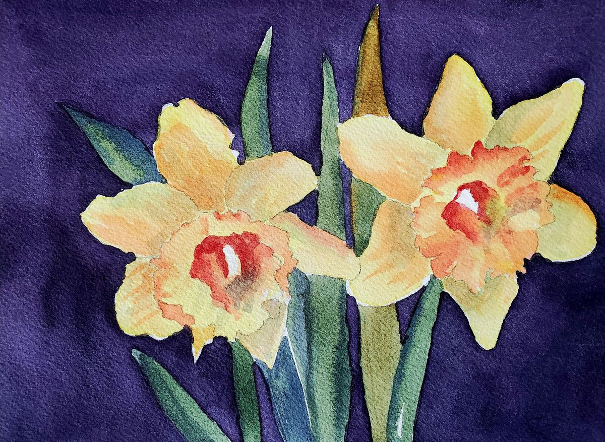 Watercolor For Beginners:  Daffodils