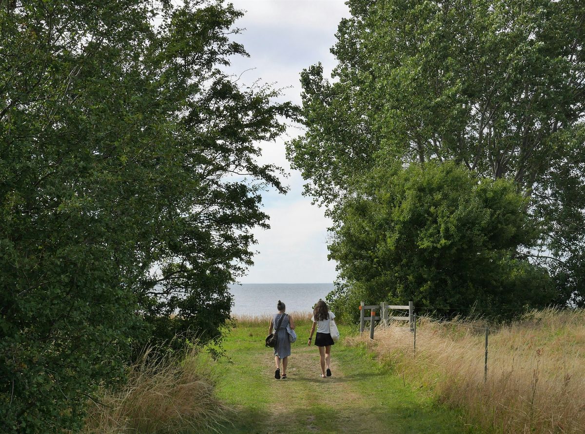 The Village NetWalking - New Year Goalsetting in Nature with Cake!