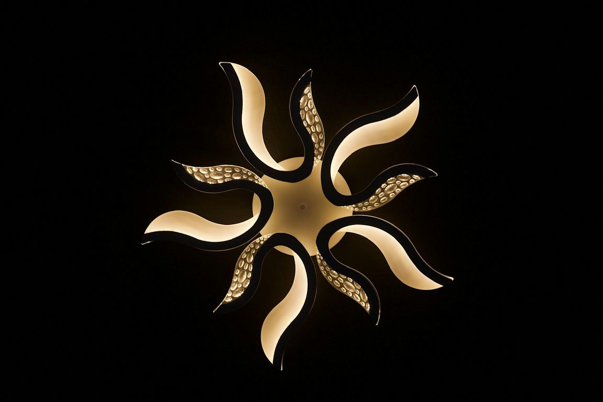 Transformational Brathwork