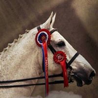 Sparket equestrian events