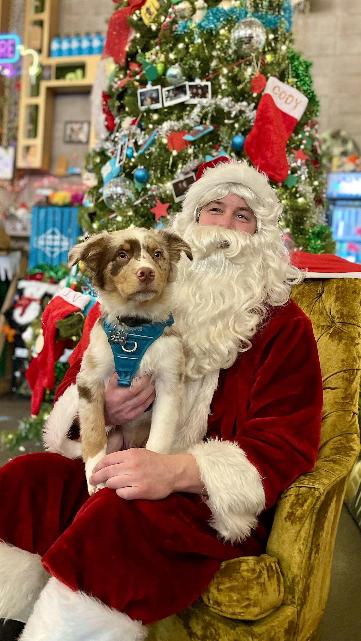 Dog Photos with Santa