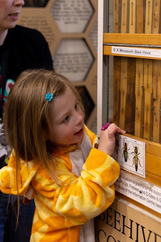 April School Holiday Workshop | Beehive Hangs at the Museum (Ages 4-7)