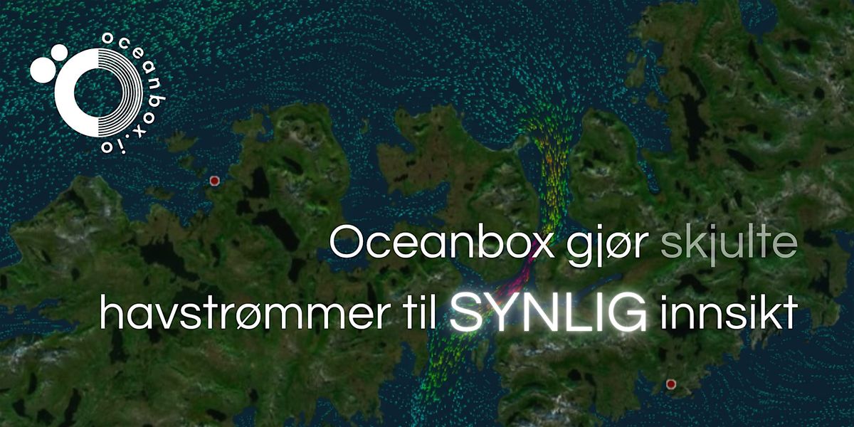 Det du ikke ser, men b\u00f8r vite
