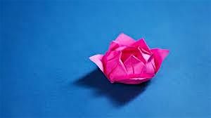 Origami with Annie Kim
