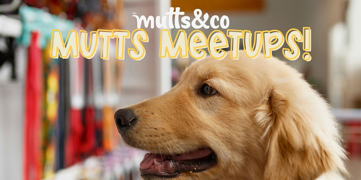 Mutts Meetups: Oodles of Doodles! (Dublin)