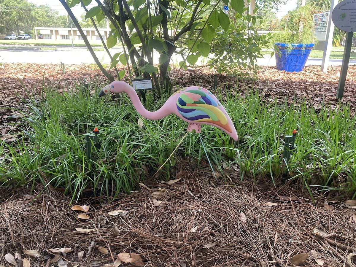 Lunch & Learn: Smart Landscape Design for Florida-Friendly Living