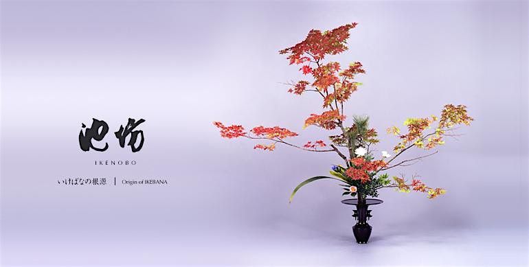 Invitation to Ikenobo Ikebana - Continuing Classes in Boulder CO (Nov)