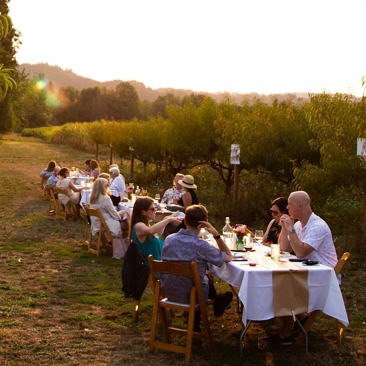 Dinner in the Field at Douglas Farm w\/ ROCO Winery and Double Circle Spirit