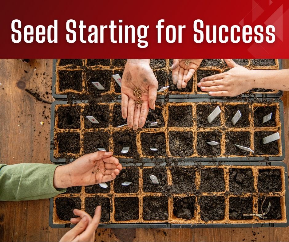 Seed Starting for Success at WI Idea Week