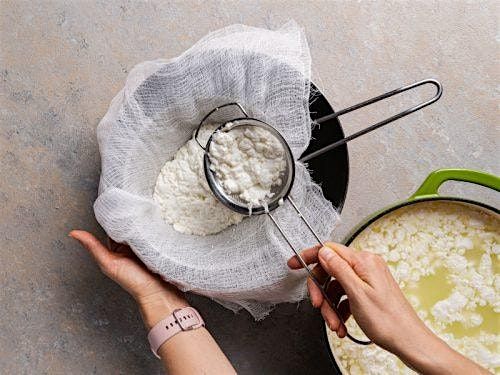 Intro to Cheese Making