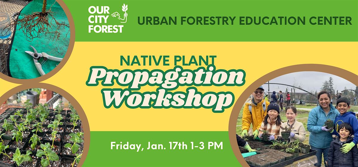 Propagation Workshop