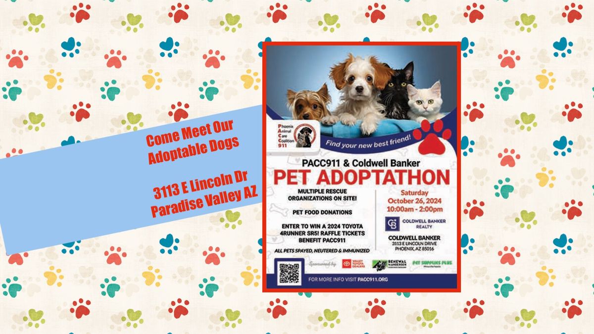 Scottsdale PAC911 Adoption Event at Coldwell Bankers