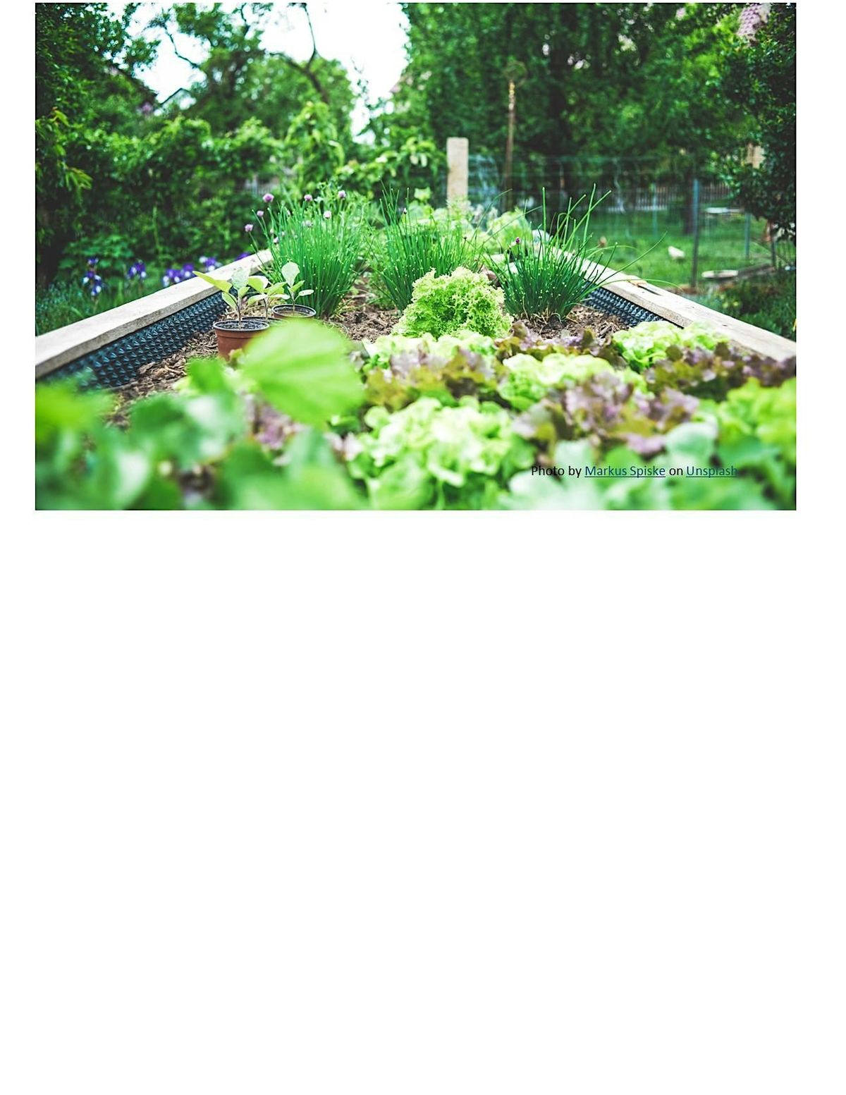 Frederick County Master Gardener: Planting the Spring Vegetable Garden