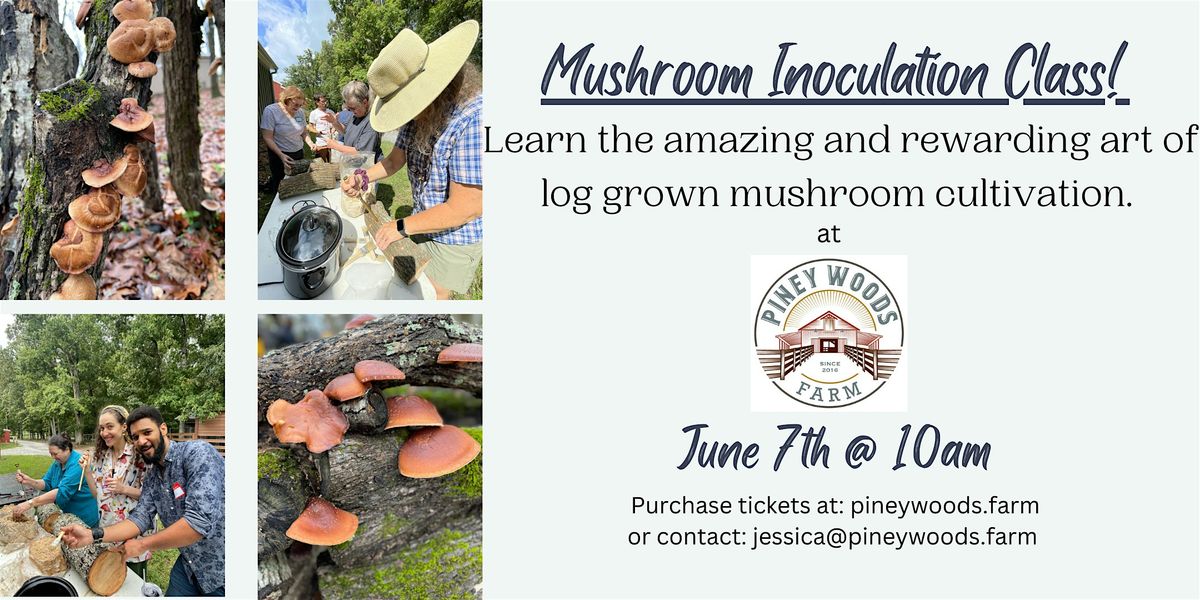 Mushroom Inoculation Class!