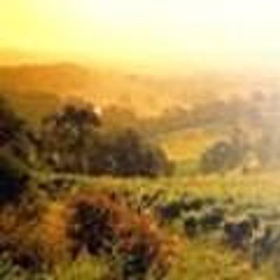 The Australian Wine Society of Toronto