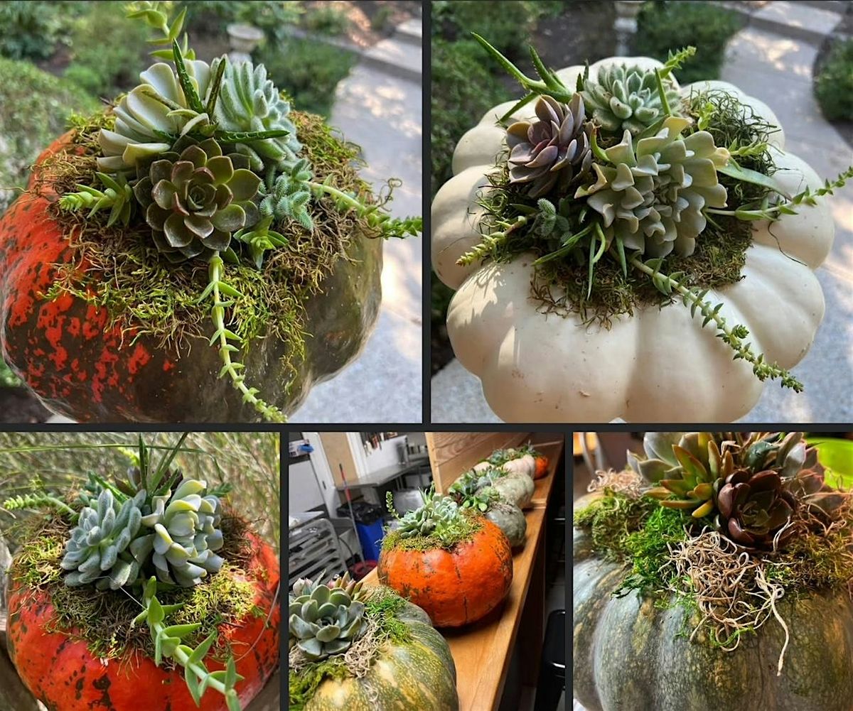 Gourdgeous Succulent Workshop
