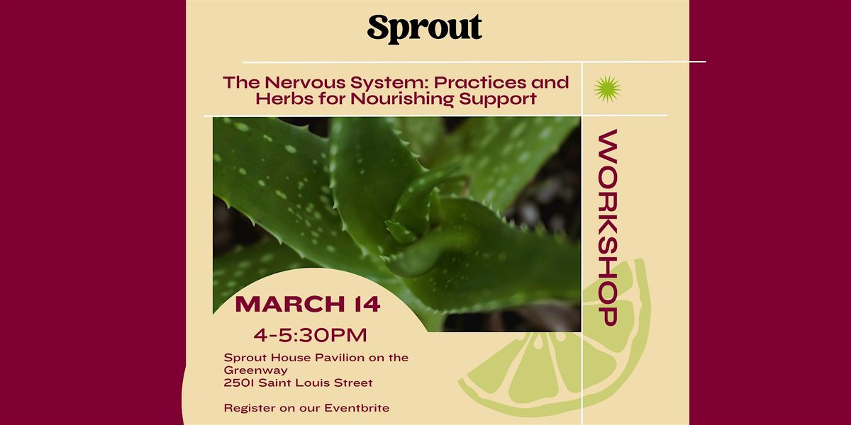 The Nervous System: Practices and Herbs for Nourishing Support