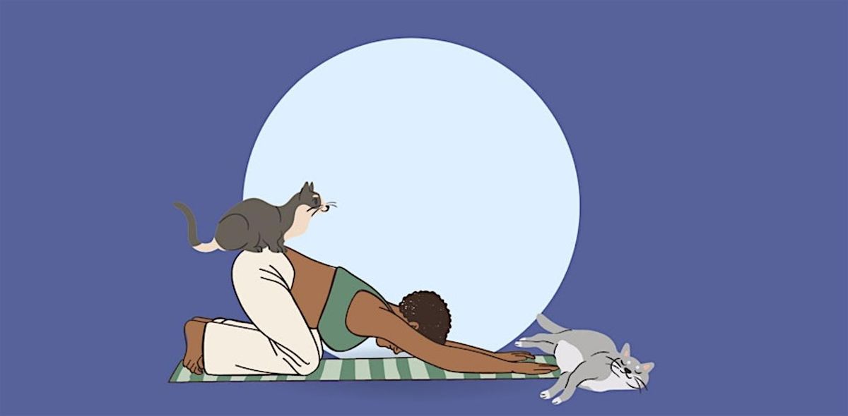 Cat Yoga