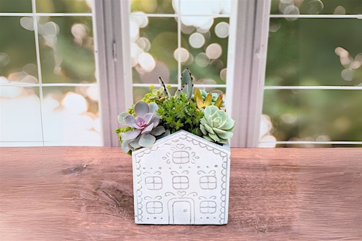 Holiday Succulent Workshop