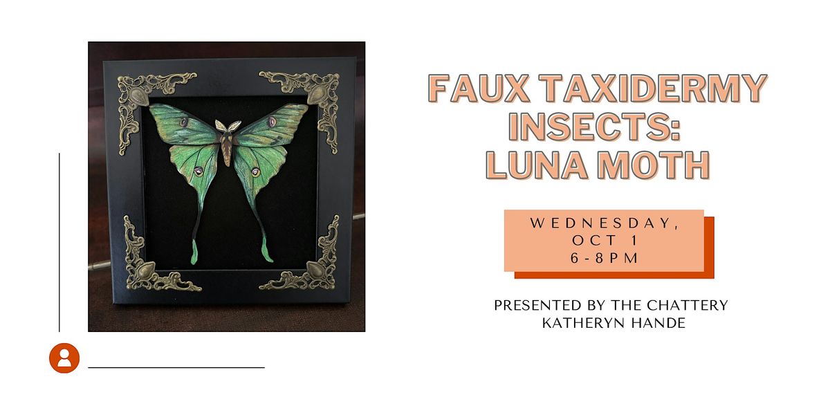 Faux Taxidermy Insects: Luna Moth