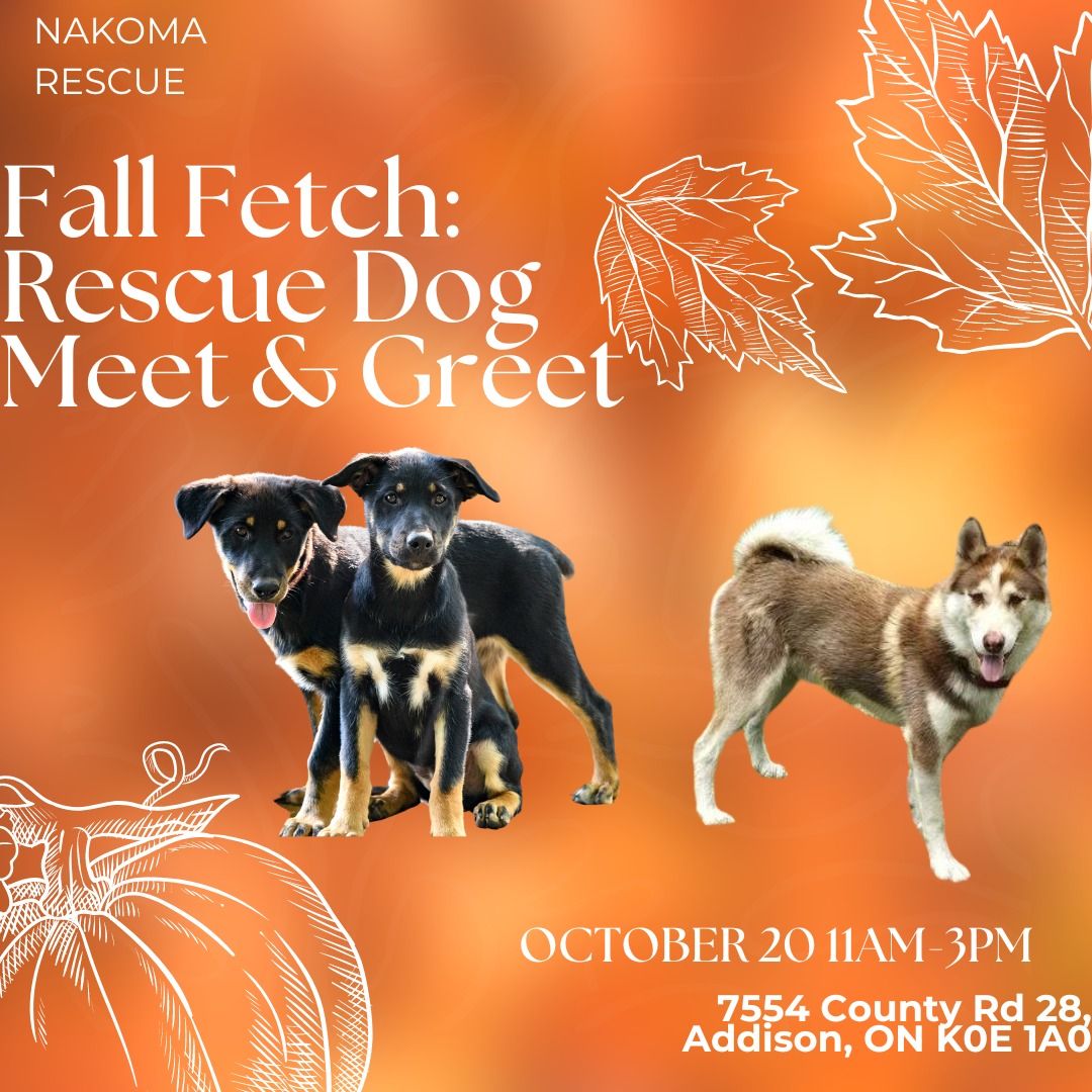 \ud83c\udf42 Fall Fetch: Rescue Dog Meet & Greet \ud83c\udf42