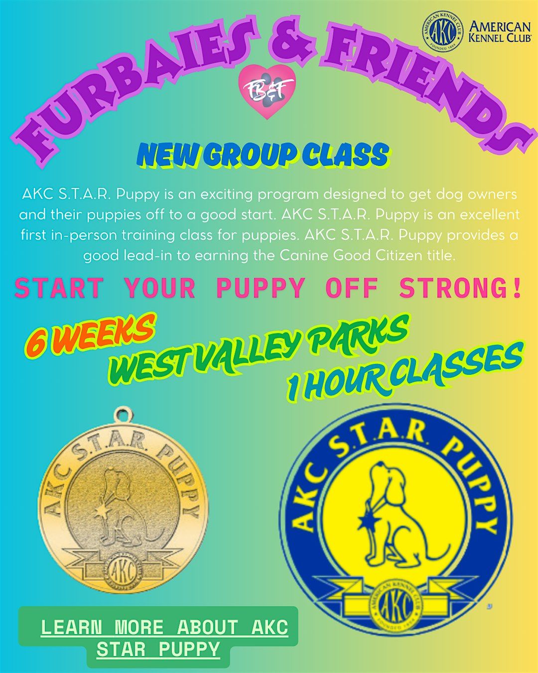 AKC STAR Puppy Group Puppy Training Class 2 - 6 Weeks - Glendale, AZ