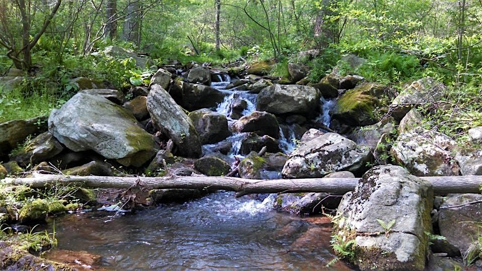 Exploration Hike: Texter Mountain Nature Preserve