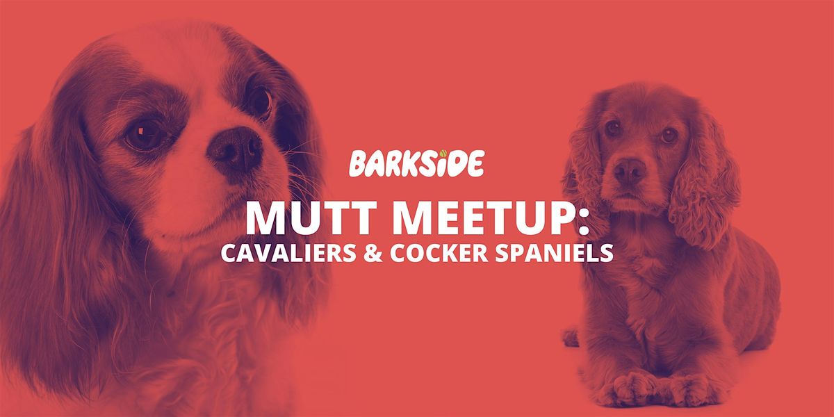 Mutt Meetup: Cavaliers & Cocker Spaniels