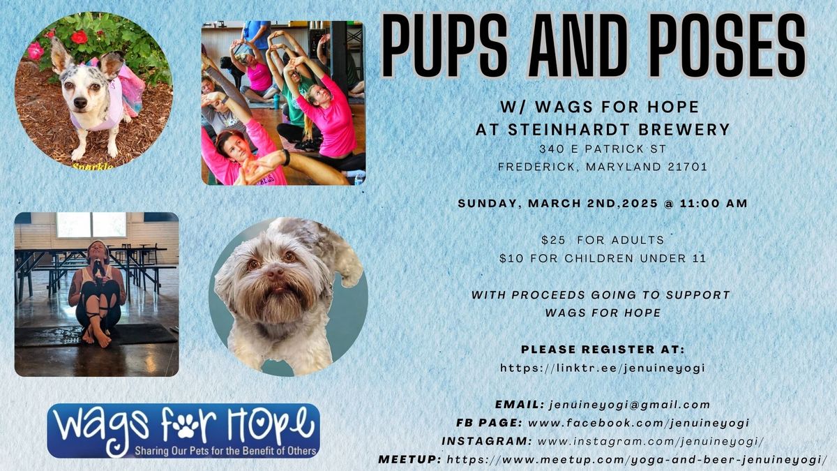 Pups and Poses w\/ Wags for Hope at Steinhardt Brewery